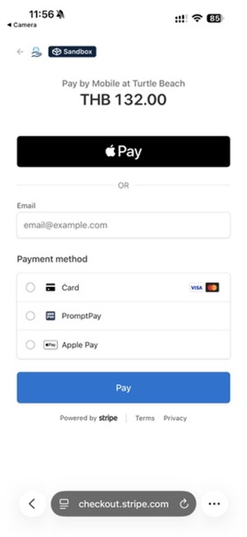 Stripe Checkout showing eligible payment methods